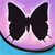 Butterfly Photo Crop