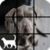 Dog Slide Puzzle Game