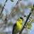Nature Live Wallpaper 18