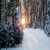 Winter ski trail Wallpaper HD