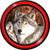 Top Wolf Live Wallpapers