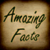 Amazing Facts 240x320 NonTouch
