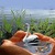 Swan in Hand Live Wallpaper