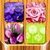 Flowers Memory Game