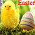 Free Easter SMS