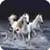 Horses Memory Game