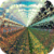 Infinity Field Live Wallpaper