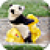Panda Wallpaper