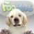 FooPets Marley Puppy