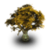 Tree Wallpapers app