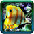 Free Download Fish HD Wallpaper