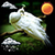 Exotic Birds Weather Clock