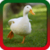Duck Ringtones