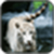 Animal Image App