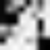 Qr code scanner max