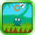 Fly N Frog
