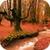 Autumn 3D Live Wallpaper Parallax