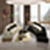 Hd Home decoration wallpaper