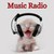 Trance Techno Rave music radio