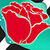 Flowers Photo Crop Top