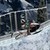 Snowmobile Racing