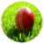 Cricket Commentators