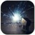 Sparkler live wallpaper