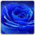 HD Blue Live Wallpaper