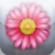 My Cycles