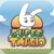 Super Twario