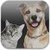Cats and Dogs Ringtones Free