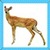 Kids Deer
