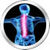 Back Pain Treatment