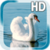 Swan Bird Live Wallpaper