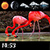 Flamingo Clock And Weather