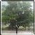 Rainy Window Live Wallpaper HD