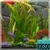 Aquarium Video HD Live Wallpaper