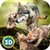 Wild Wolf Quest Online