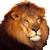 Wild Animals