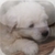 Texturebank HD Stylizer