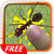 Smash And Kill Ants Bugs Free