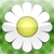 Bach Flower Remedies