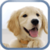 Jigsaw Puzzle Dogs