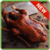Chinese recipes food