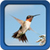 Hummingbirds Live Wallpapers