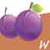 Guess The Pictues Guess The Word Game