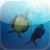 Sounds of the Sea