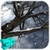Winter LWP