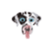 Tamagotchi Dog