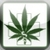 iweeducation